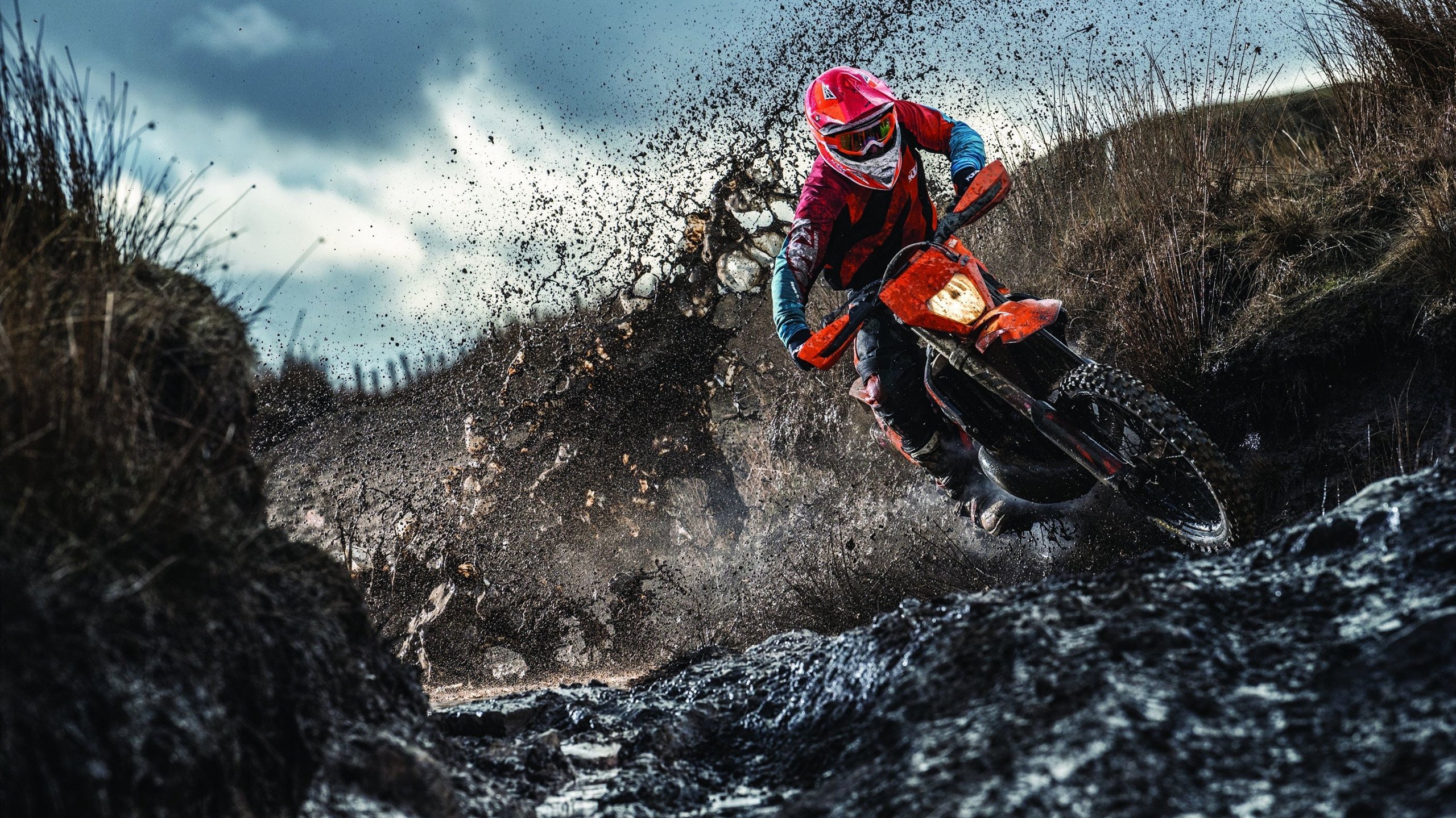 文班亚马之夜，篮球天才如何一手掌控德甲争冠战的走势